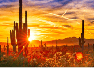 Arizona A.G. Investigates Trump’s Cheney Comment as Possible Criminal Death Threat