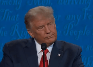 WATCH: ‘It Will Be Wild Means We Need Volunteers For the Firing Squad’ Lincoln Project Nails MAGA
