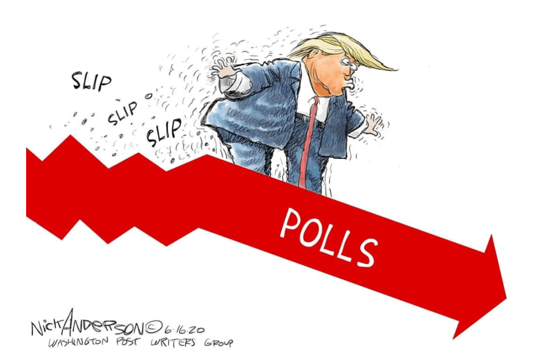 Trump slips in polls cartoon