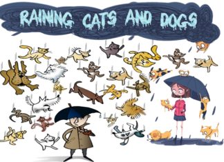 Raining cats and dogs