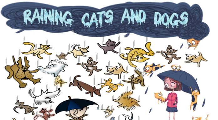 Raining cats and dogs