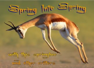 Spring into Spring header