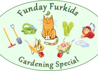 Gardening Special header