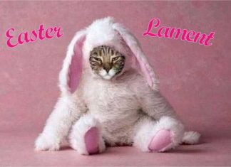 Funday Furkids’ Easter Lament Easter Lament header