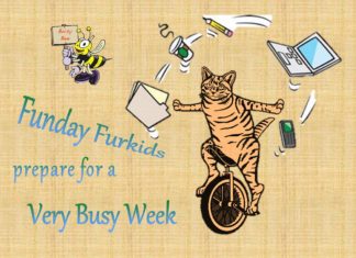 Very Busy Week header