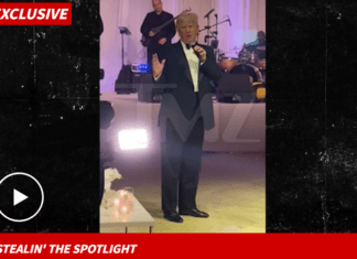 Trump Asked To Give Wedding Toast, Trashes Joe Biden Instead