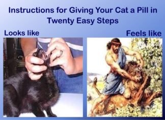 Funday Furkids: How to Pill a Cat in 20 Easy Steps