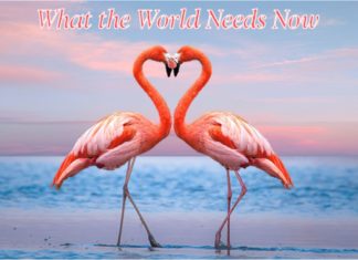 Funday Furkids: What The World Needs Now
