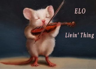 Funday Furkids: Livin’ Thing ELO Livin' Thing