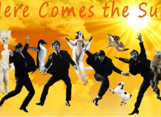 The Beatles Here Comes the Sun