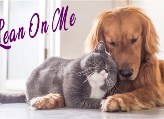 Lean on me