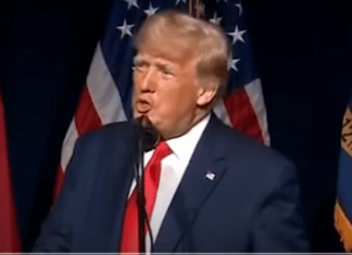 WATCH: Hilarious 70 Second Mashup Of Trump’s Come Back, It Doesn’t Get Better Than the Opening Line