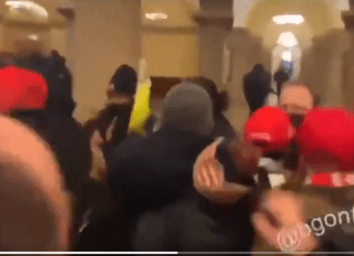 WATCH: Anatomy Of Capitol Attack, the Latest From Don Winslow