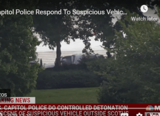 MAGA Arrested Outside Supreme Court After Refusing To Leave ‘The Time For Talking Is Done’