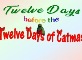 Funday Furkids: Second Day of Catmas