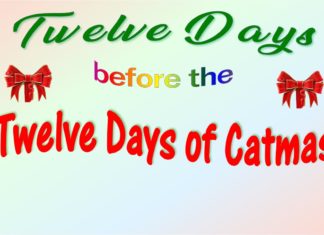 Funday Furkids: First Day of Catmas