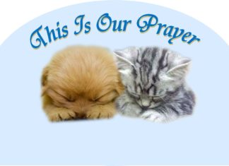 Funday Furkids’ Prayer for New Year