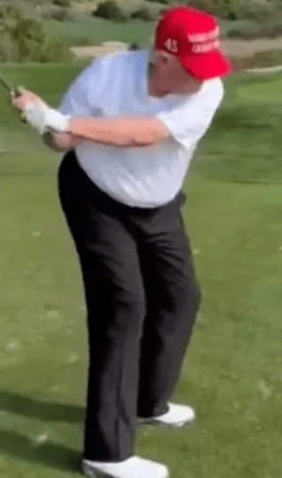 Trump golf sputnik