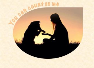 Furkids: You Can Count On Me