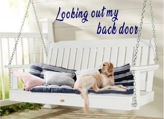Furkids: Looking Out My Back Door