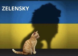 WATCH: Zelenskyy Gets Standing Ovation From Parliament, Evokes Winston Churchill