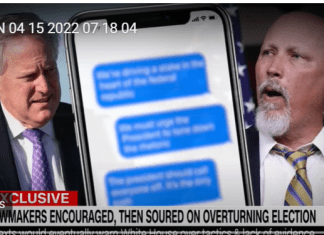 Chip Roy Flips Out On the GOP and It Is A Scream