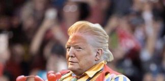 Iranian Pol Mocks Trump