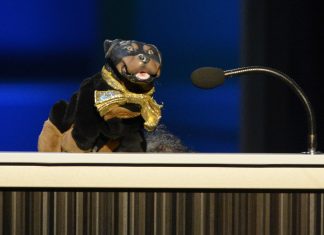 Late Show With Stephen Colbert Regular Insult the Comedy Dog Collared in Capitol, Tucker Wants Him Charged With Sedition!