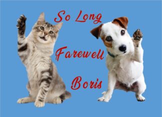 Furkids Say Bye Bye Boris!