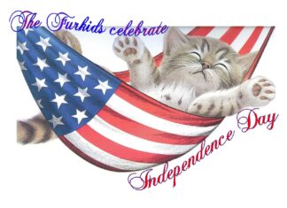 Furkids: 4th of July Weekend