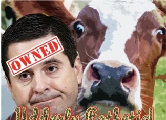 Ha Ha – Trump Bails on His Own Media Company Board, Leaves Nunes Holding the Bag!