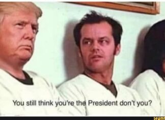 Asha Rangappa Wonders if drumpf Has an Insanity Defense