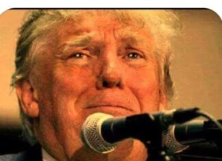 Trump Must Have Wrestled the Phone Back, Now He’s Screaming ‘It’s Safer In Central Park’