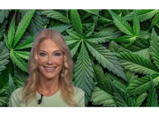 Kellyanne Conway’s Reefer Madness