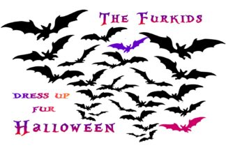 Furkids Celebrate Halloween!