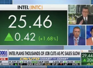 Fox Business News Contributor Claims He Spent $28.00 for Taco Bell Lunch – Even Cavuto is Incredulous