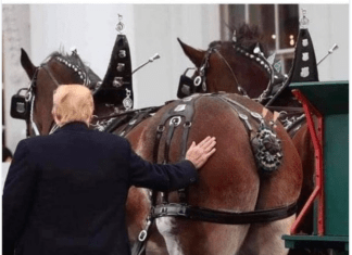 WATCH: Hilarious Mash Up, ‘The Week In MAGA’ You Can’t Make This Stuff Up