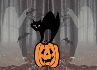 Wacky Wednesday Critters – A Halloween Tale (a little late)