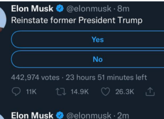 Vox MAGA, Anybody? Elon Musk Is Taking A Poll Asking If He Should Reinstate The Former Guy