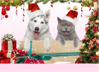 Furkids: Have Yourself a Merry Little Catmas!