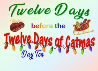 The Furkids’ Tenth Day of Catmas