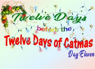 The Furkids’ Eleventh Day of Catmas