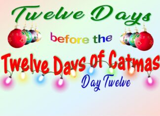 The Furkids’ Twelfth Day of Catmas