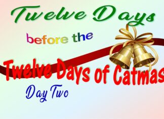 The Furkids’ Second Day of Catmas