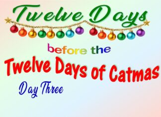 The Furkids’ Third Day of Catmas
