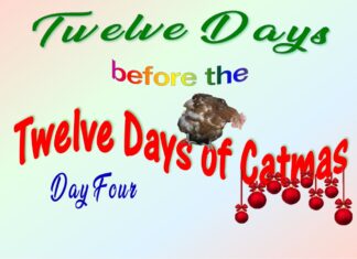 The Furkids’ Fourth Day of Catmas