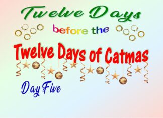 The Furkids’ Fifth Day of Catmas