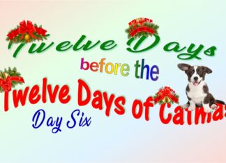 The Furkids’ Sixth Day of Catmas