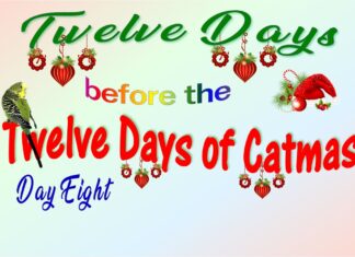 The Furkids’ Eighth Day of Catmas