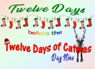The Furkids’ Ninth Day of Catmas